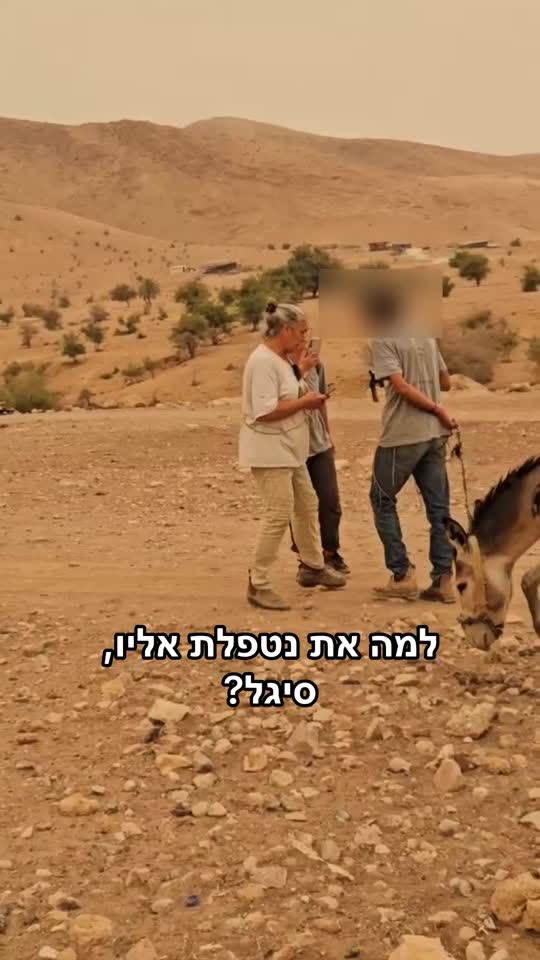 סיגל שוקרון האנרכיסטית בעוד תלונת שווא והפעם היא גם טוענת...