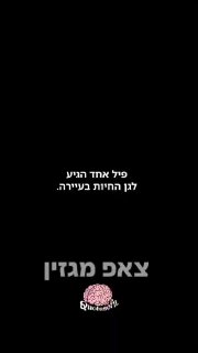 משל הפיל והעיוורים.....