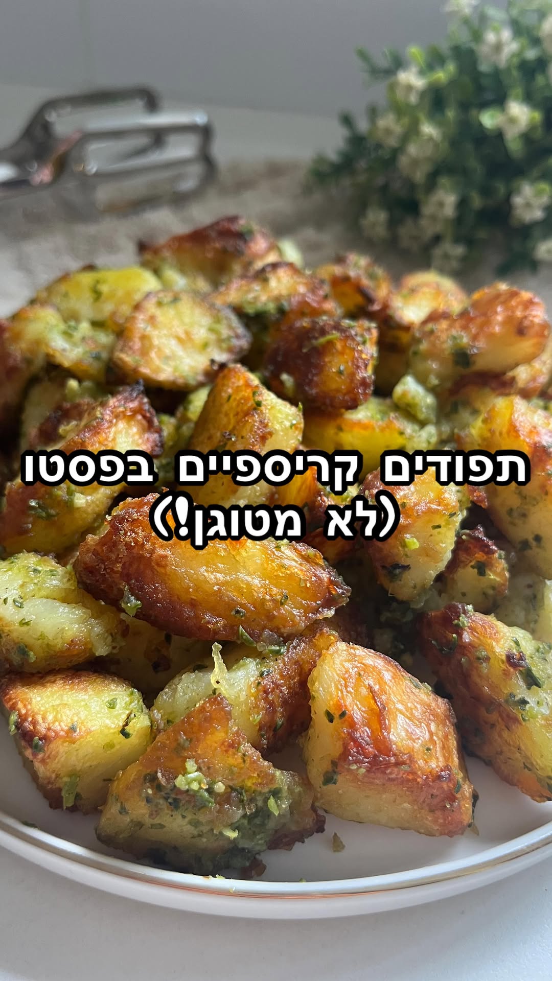 STAVIS 🍳 תפודים בפסטו...