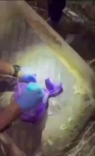 בתוך קופסת מזון לתינוקות: 160 כדורי M16 אותרו בפשיטה באום אל-פחם...