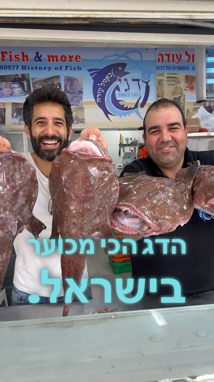 הדג הכי מכוער, אבל גם הכי טעים … את שד הים כבר טעמתם?...