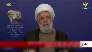 נעים קאסם היה חמוץ משהו כשדיבר היום בנאומו עד כמה מסוכנת...