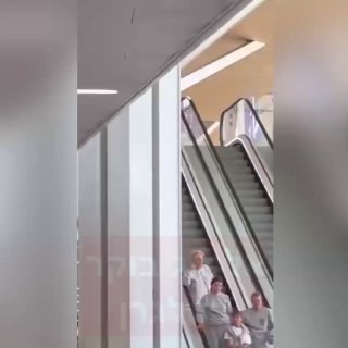 בדרך לגירוש: גרטה בנמל התעופה רמון...