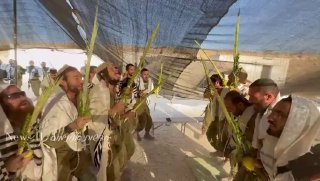 גיבורי העל שלנו!!! 🇮🇱💙💙💙...