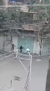 מה שהולך בעזה מאז הפסקת אש זה כמו גן חיות!...