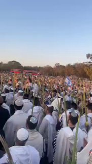 מתחם הנובה
...