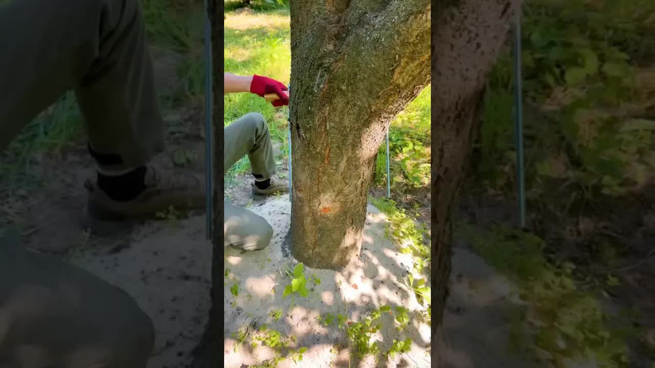 הוא הופך את העץ למקום הכי נוח על ידי יצירת ספסל מדהים...