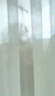 סופת טורנדו הרסנית פגעה היום בארמונט, בפרברים הצפוניים של...