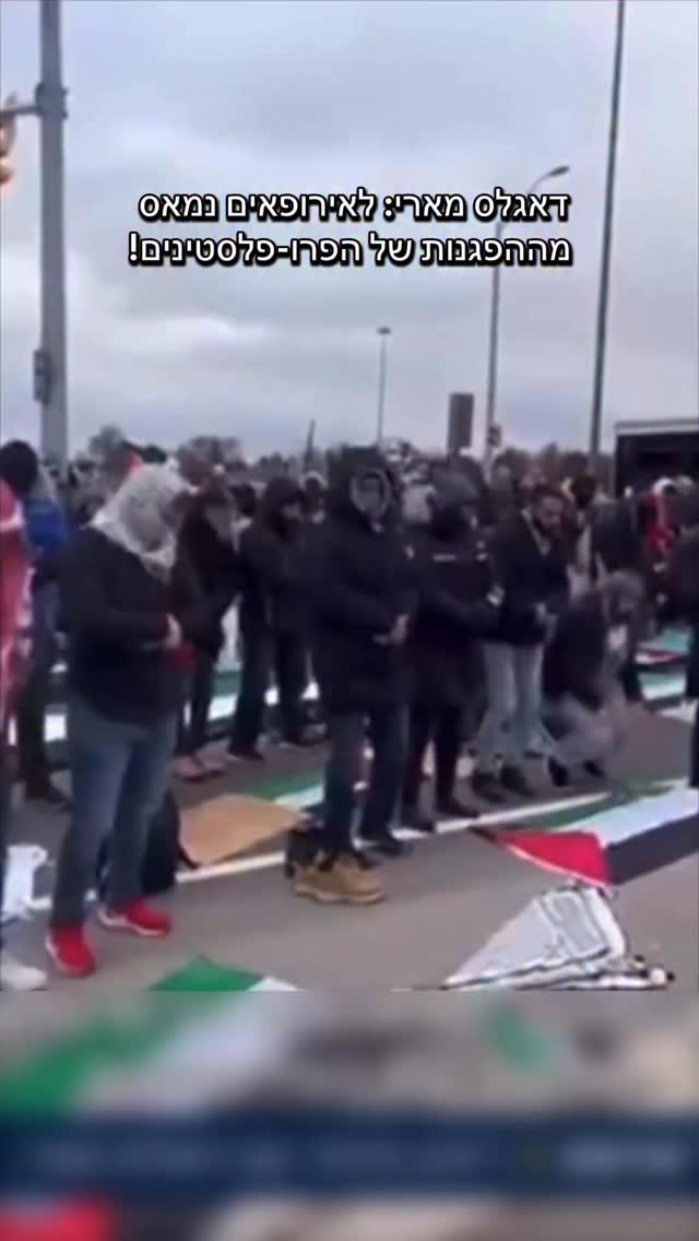 דאגלס מארי: לאירופאים נמאס מההפגנות הפרו פלסטיניות! 