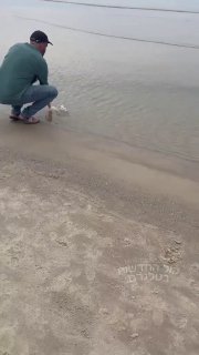 אפילו אבו טבלה הגיע לחפש תטלפון של הפצרית...