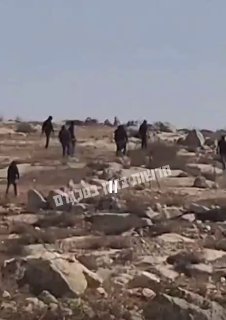 תג מחיר נוסף בעידוד הממשלה:...