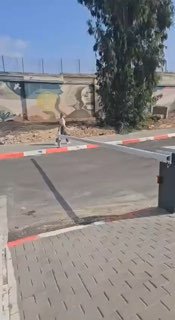 הפצרית יפעת תומר ירושלמי משתחררת למעצר בית, כעת מחוץ לנווה...