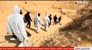 גופת הדר גולדין לטענת חמאס
...