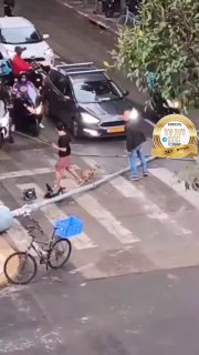 תיעוד מטורף מדיזנגוף: רמזור מתרסק וזוג ניצל ברגע האחרון...