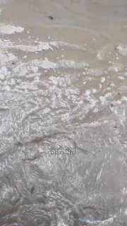 חאן יונס הפכה לוונציה...