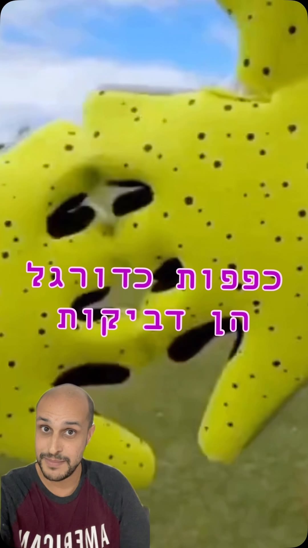 הידעתם:...