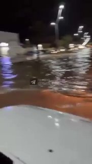 ערב הסעודית :...