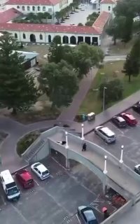 תיעוד דרמטי: רגעי נטרול המחבלים באוסטרליה...