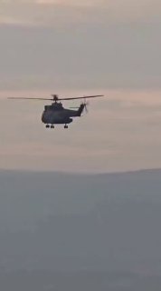 כלי תקשורת בלבנון מדווחים כי משלחת של שגרירים ונספחים צבאיים...