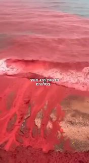 איראן: החוף האדום באי הורמוז בתיעוד מהיום (16.12) בזמן הגשם....