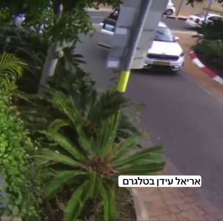 מזעזע: רעולי פנים התנפלו על גבר בראשון לציון וחטפו מידיו כלבה...