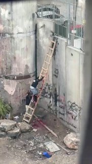 מחבל חטף כדור על החומה בגזרת ירושלים בזמן שניסה להסתנן לישראל...