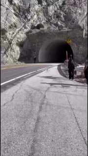 יוצר משחק המחשב הפופולרי Call of Duty נהרג בתאונה דרכים בדרום...