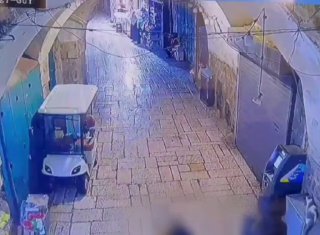 בן 17 מירושלים נעצר בחשד להתעללות בחתול בעיר העתיקה נער בן 17,...