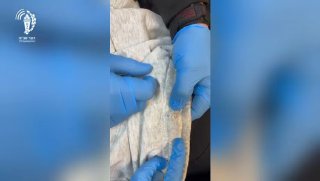 תפירה בהזמנה: סוכל ניסיון הברחת סמים במסוף הביקורים בבית...