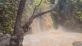 מפל הבניאס צילום ויטלי גרנדר רשות הטבע והגנים 