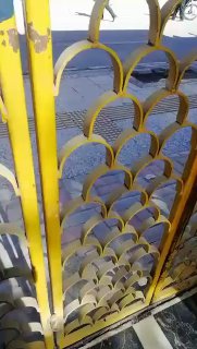 רגעי הירי שהרג את הצעיר האירני קרדיט: DDF WORLD NEWS 