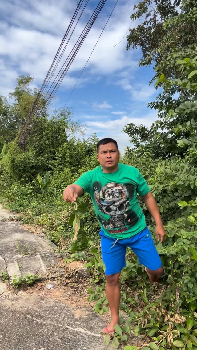 אלוהים אדירים, לא הייתי צריך....