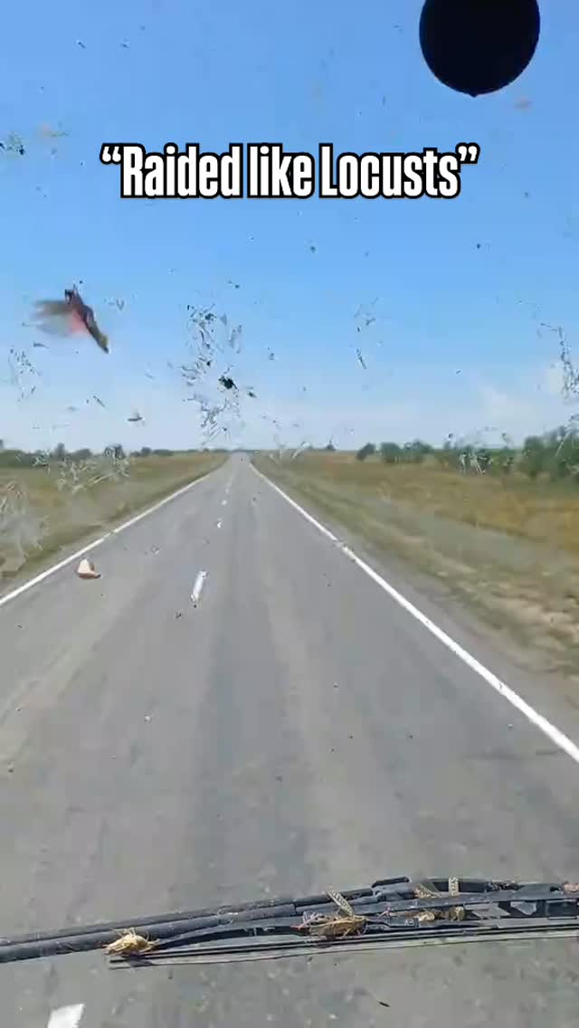 הוא יהנה מאוד כשהוא שוטף אותו ...