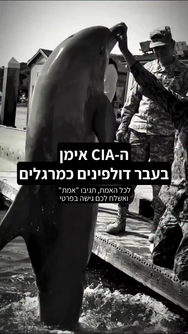 תגיב ״אמת״ ואשלח לך גישה בפרטי....