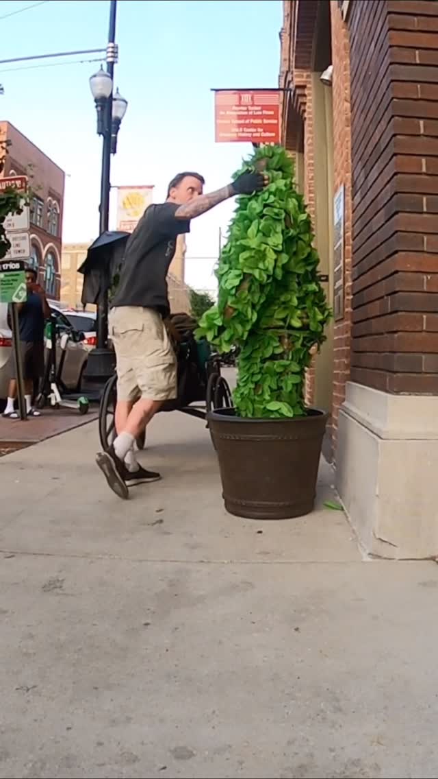 נפל על "העציץ" הלא נכון...