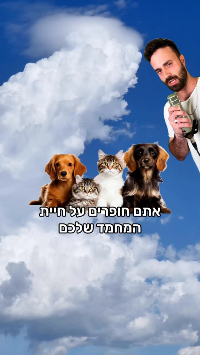 שיר רנדומלי - חיית מחמד...