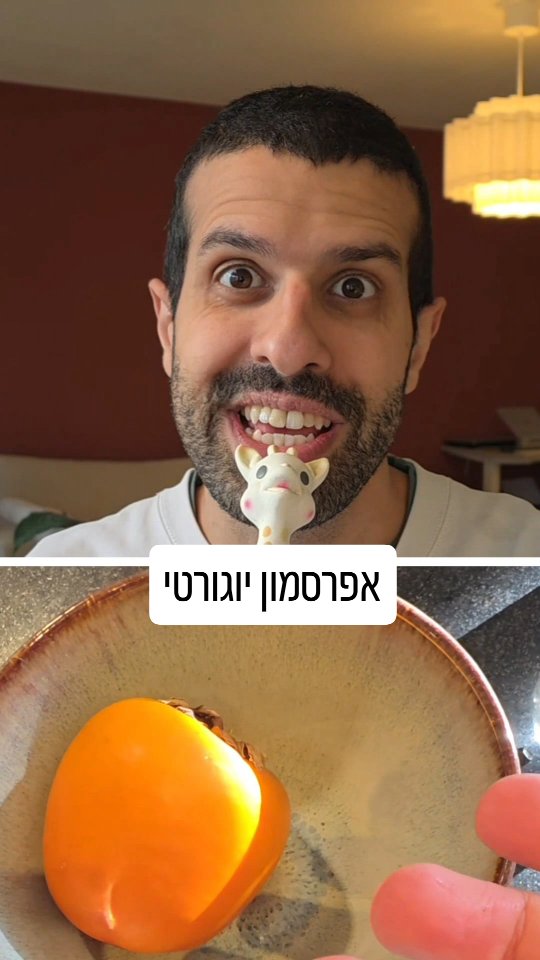 מתכון ליוגורט אפרסמון....