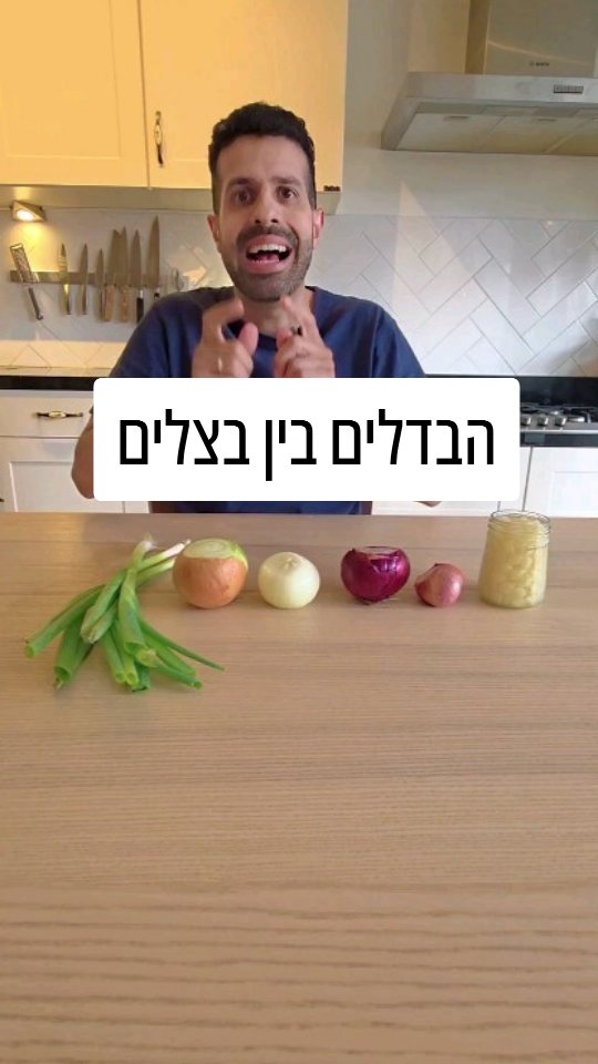 מה ההבדלים בין הבצלים? מה ההבדל בין בצל ירוק לבצל יבש? בצל לבן...