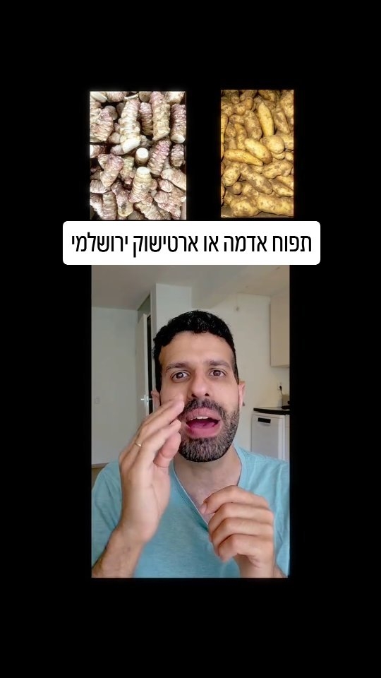 תפוח אדמה או ארטישוק ירושלמי? השוואה תזונתית.