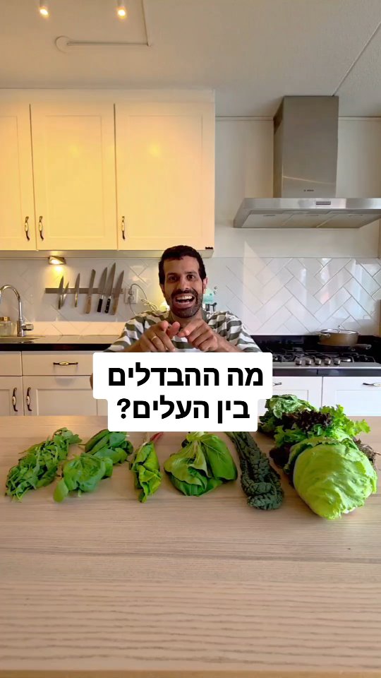 מה ההבדל בין סוגי העלים הנפוצים? מה ההבדל בין תרד לקייל? האם יש...