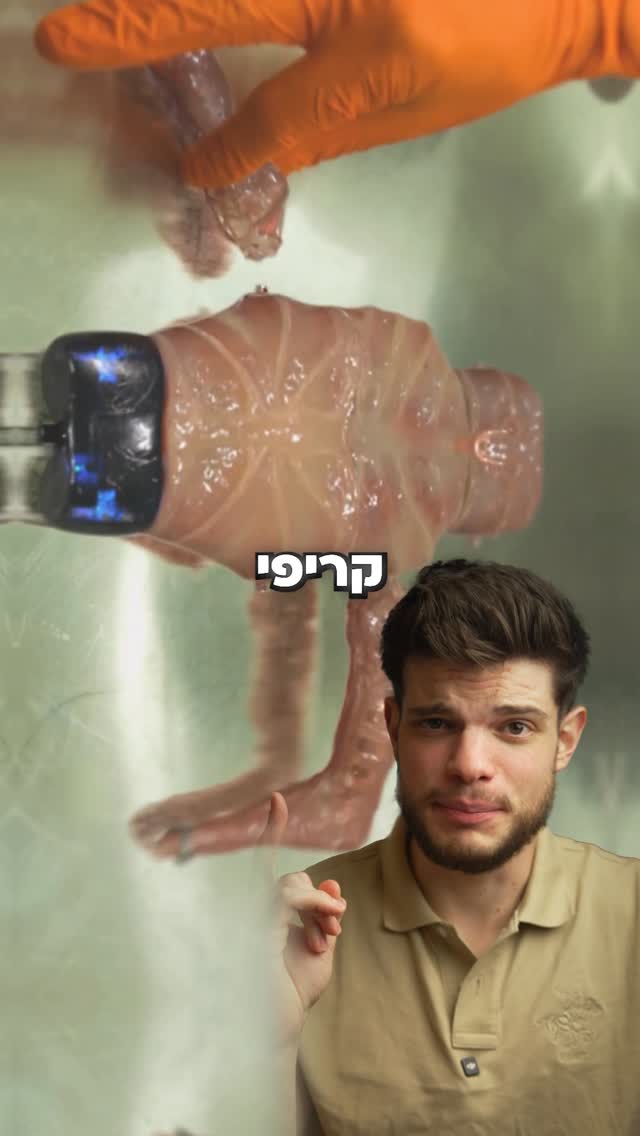 זה הדבר הכי קריפי שתראו השנה...😵‍💫...