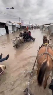 הנאצים בעזה עושים חיים 