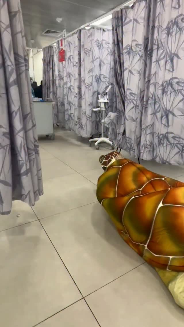 ניסתה להזחיל אותי החוצה 🐢😅 