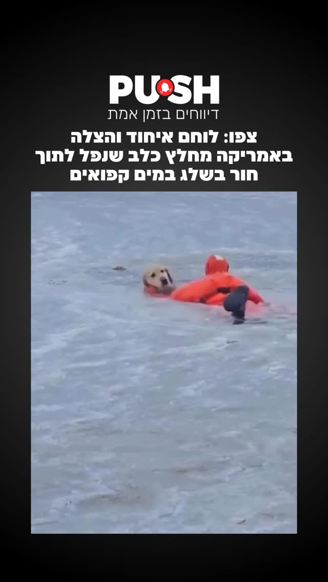 צפו: לוחם איחוד והצלה באמריקה מחלץ כלב שנפל לתוך חור בשלג במים...