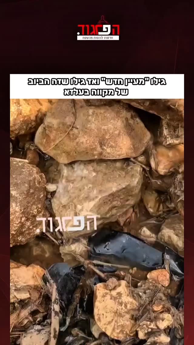 הסיפור שמטלטל את טלזסטון: מדריך מקומי של חוג ספורט לילדים...