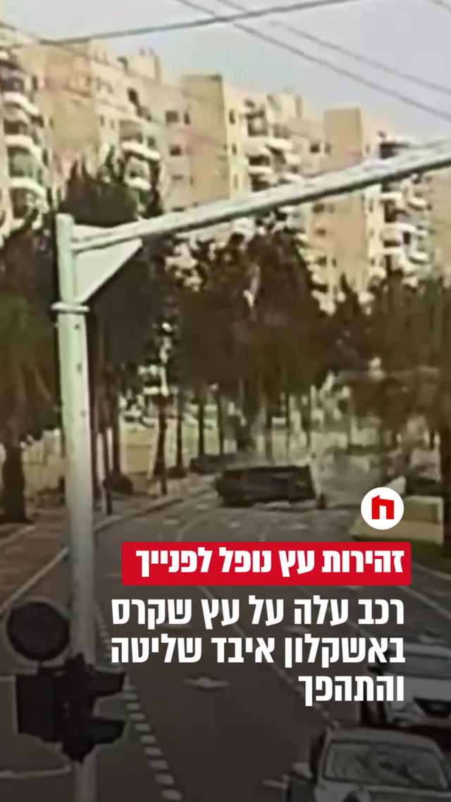 תיעוד דרמטי מאשקלון: רכב עלה על עץ שקרס - איבד שליטה והתהפך...