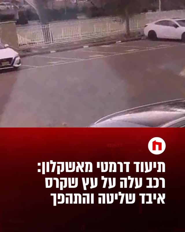 תיעוד דרמטי מאשקלון: רכב עלה על עץ שקרס - איבד שליטה והתהפך...