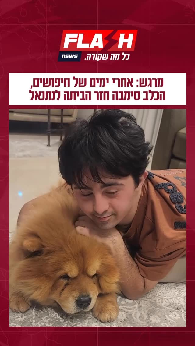 ⁨סוף טוב בקיסריה: סימבה הכלב נמצא וחזר לביתו לאחר שבוע, כלבם...