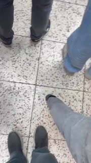 קרובי הנרצחים באיראן פרצו במחאה בבית הקברות: "זו השנה שחמינאי...