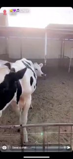 עבודת צוות 😂 